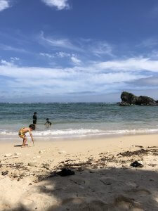 ハワイで大家：沖縄夏ステイ2018 ビーチでもう泳げます
